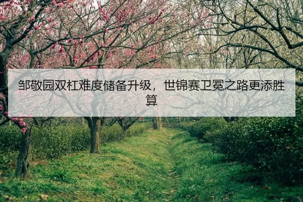 邹敬园双杠难度储备升级，世锦赛卫冕之路更添胜算