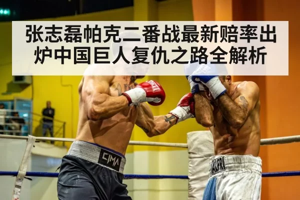 Chinese heavyweight boxer